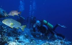 Maldives - diving Baa Atoll